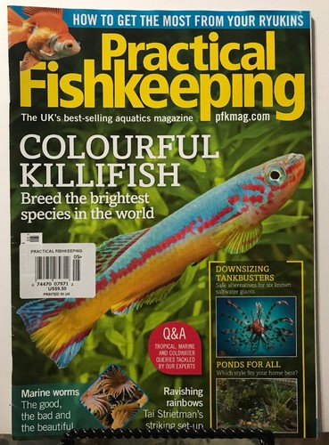 Practical fishkeeping colorful - fishkeeping,