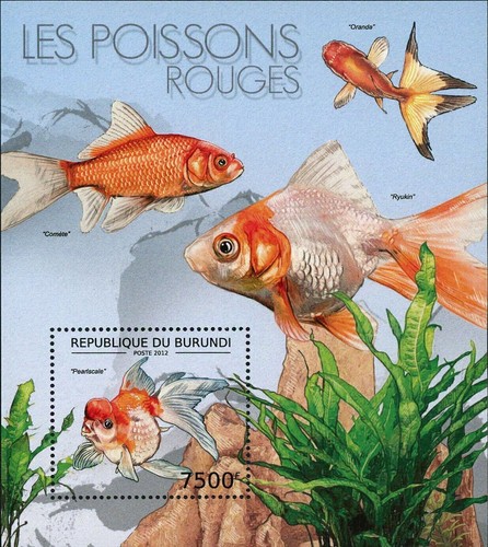 Goldfish stamp pearlscale - stamp,