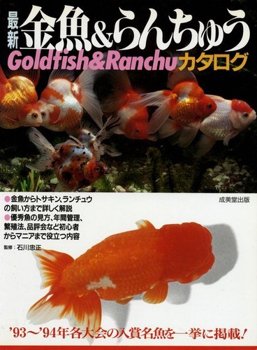 Japanese goldfish kingyo - kingyo, &