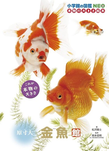 Life size goldfish photo book - life-size,